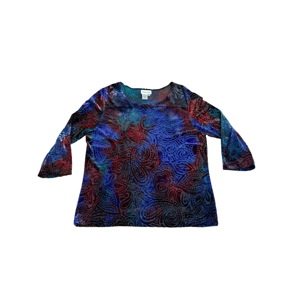 Coldwater Creek Burnout Velvet Floral Blouse Top L Sheer Ombré Whimsigoth Artsy